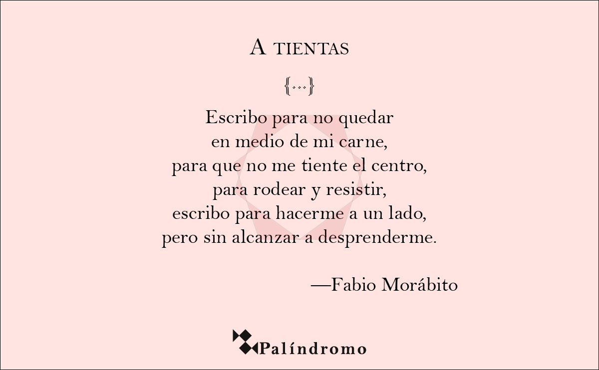 De lunes todo el año 𓆋