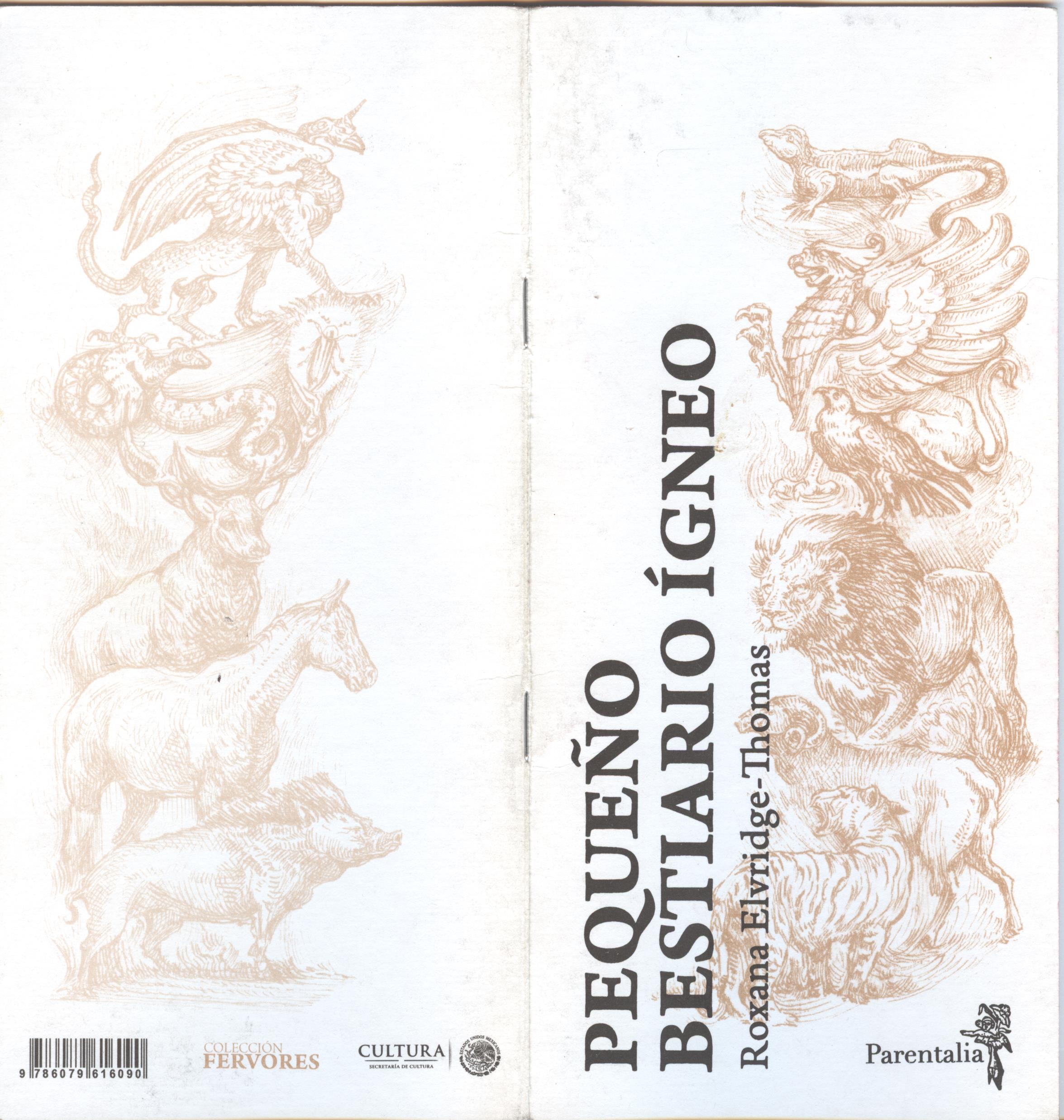 🜁 Cubierta Pequeño