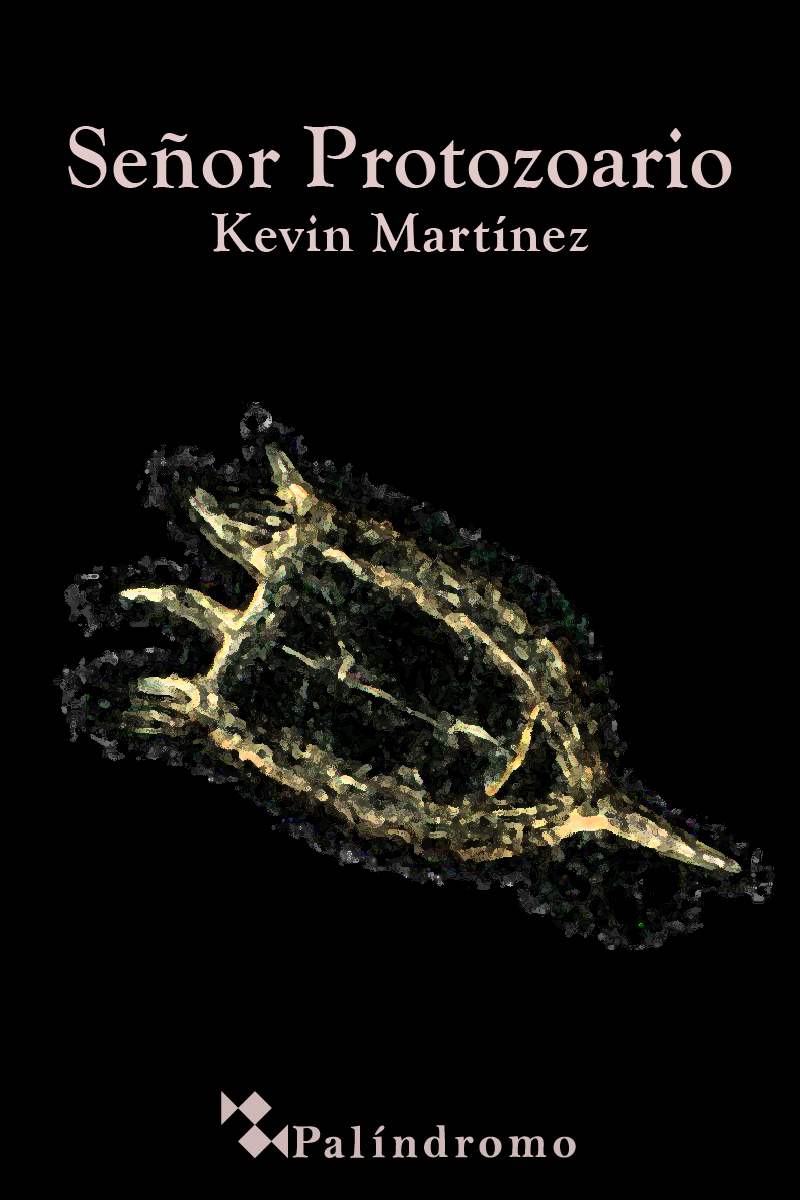 Protozoa ☻ CubiertaProtozoa