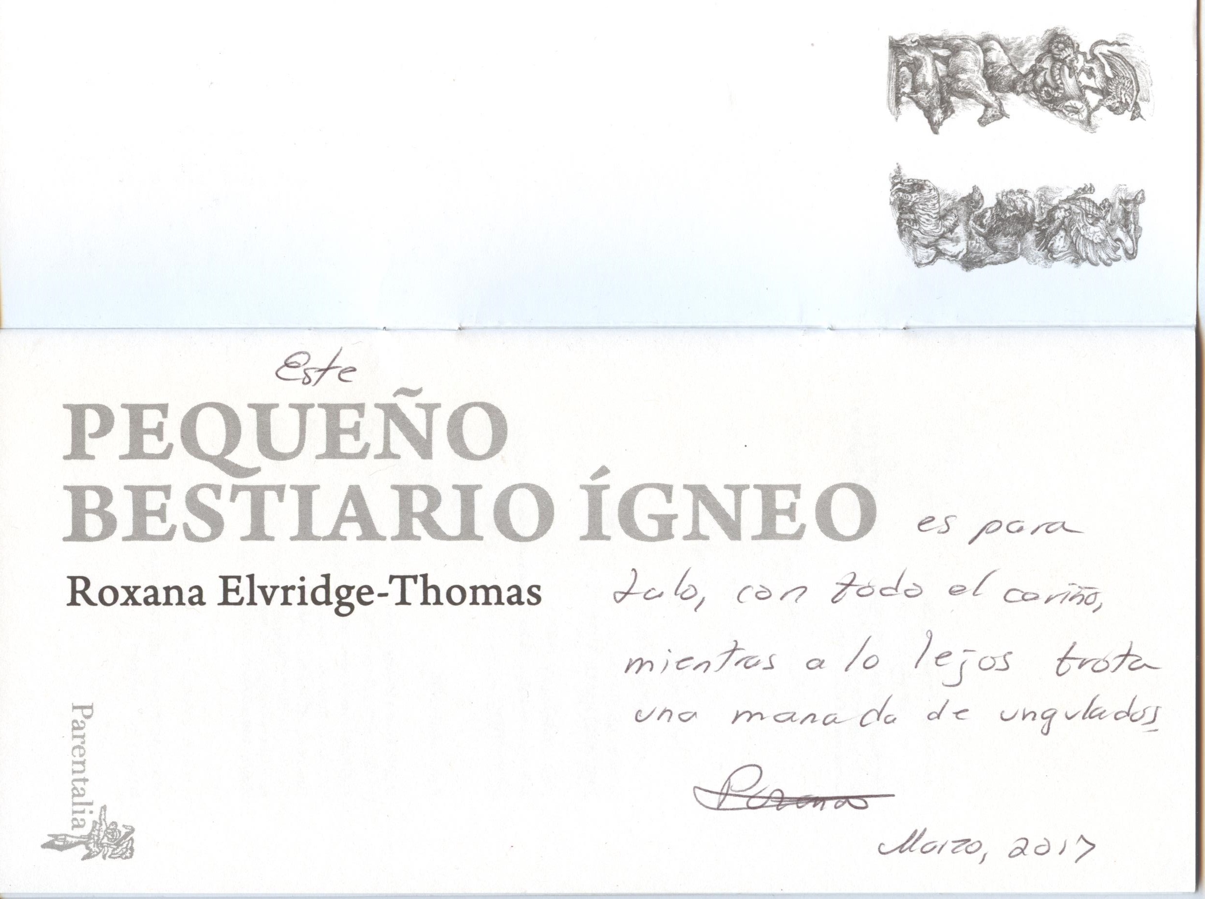 FirmaÍgnea
